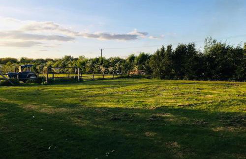 Spacious Cabin with Private Hot Tub, and Private Pool, in 5 Acres - intimate Special stay For 2 Adults - plus 1 child under 2 and up to 2 dogs stay for free - Foto 36