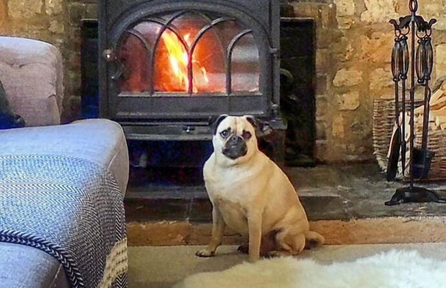 Century House - Foto 23