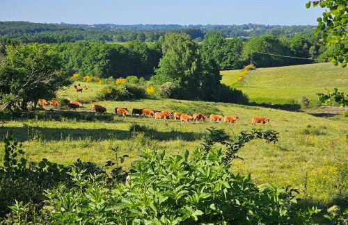 Le Cosy - Domaine du Vertendre - Foto 22