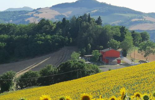 A casa di Matisse - appartamento vacanze - Foto 30