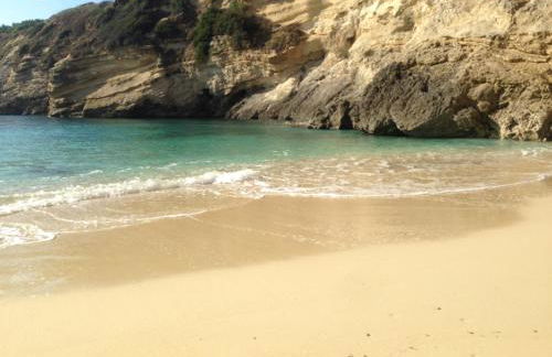 Vecchio Ulivo - Foto 36