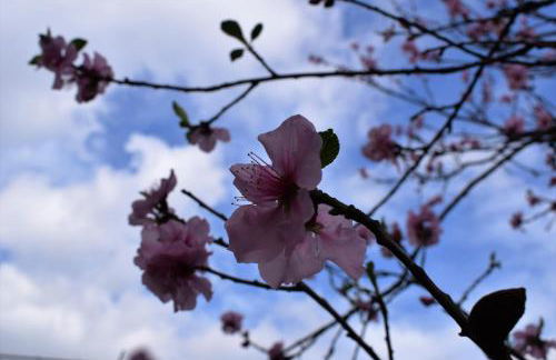 La Casa di Giulia - Foto 16