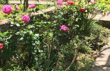 La Casa del Maestro Attico - Photo 56