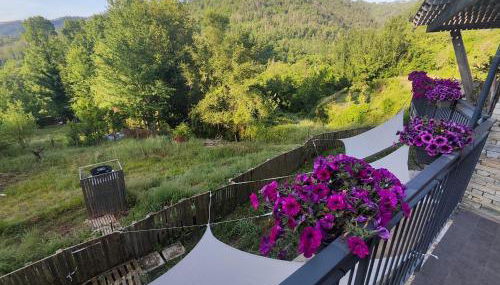 Agriturismo Terre di Ginepro - Foto 5