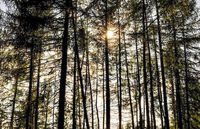 Old Kilmun House - Foto 54