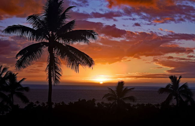 Country Club Villas #331 - Foto 45