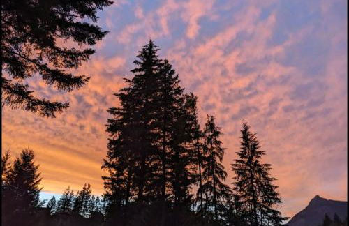 Bugling Elk Bungalow - Foto 28