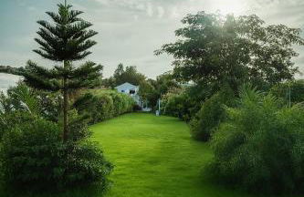 The Dragonfly Retreat - Photo 2