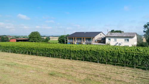 Winzerhof Schmid - Foto 2, Garden