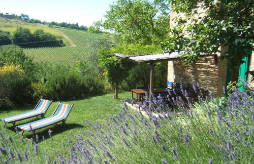 Agriturismo & Winery Il Bacio - Foto 11