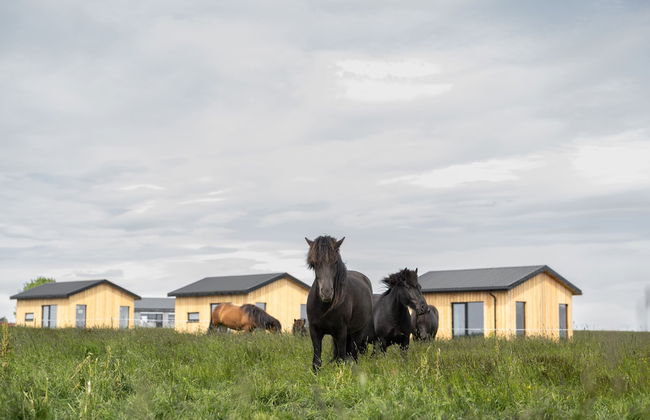 Sleeping with the Horses - Foto 47