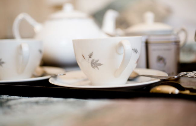 Burton Court - Foto 18