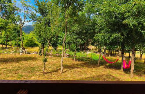 Wood Fairy 2 - Foto 17