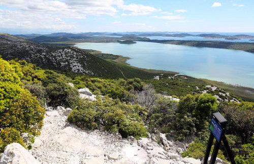 Apartman MIRA - Foto 16