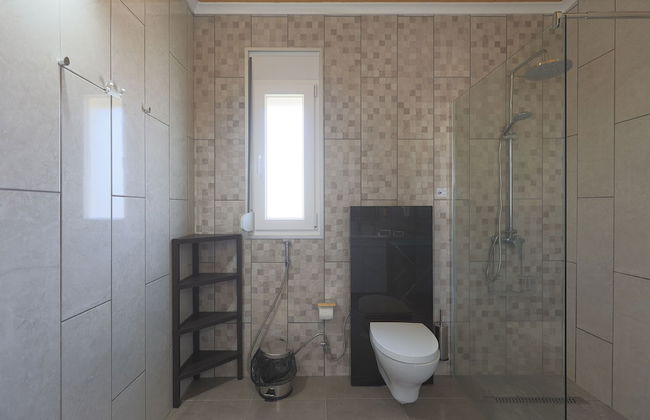 Parrots Village - Foto 43