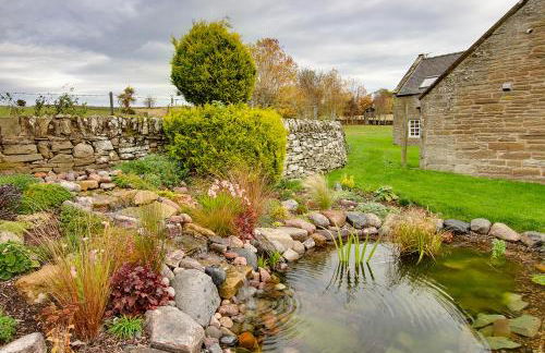 Balgavies Home Farm - Cottage - Photo 19