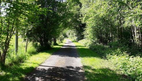 Gite de la Pierre Bleue, Authentique Maison à la campagne - Foto 4