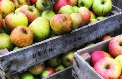 5 Bed in Taunton oc-95570 - Foto 30