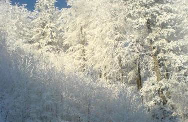 Apartments Nino - Foto 31