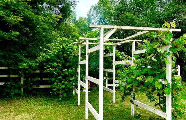 Siedlisko Nad Potokiem - Foto 12