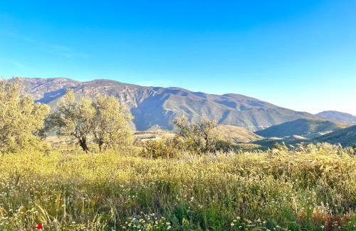 Cortijo Al-Andalus - Foto 49