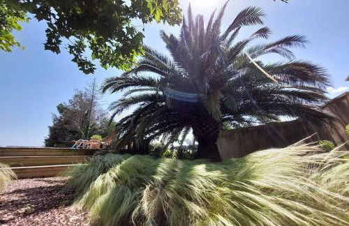 Le CAMPAGNE - Foto 43