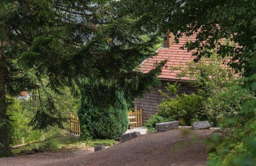 Aux Sources - 14 personnes - sauna & jacuzzi - Photo 15