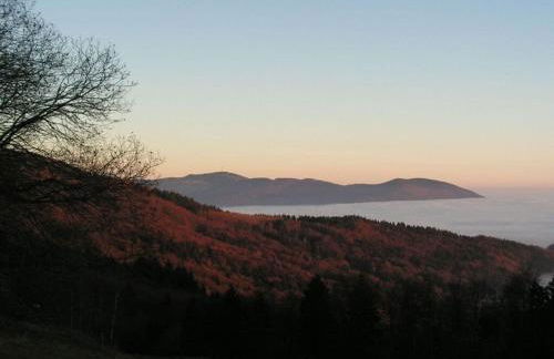 Barbara Hintermair Comfortable holiday residence - Foto 15