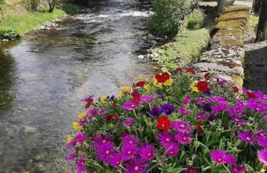 Gîte la petite maison - Foto 12