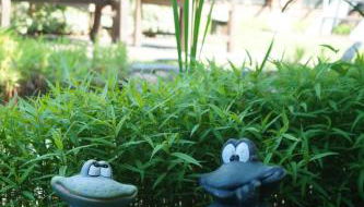 Spreewald-Domizil - Foto 4