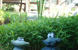 Spreewald-Domizil - Foto 4