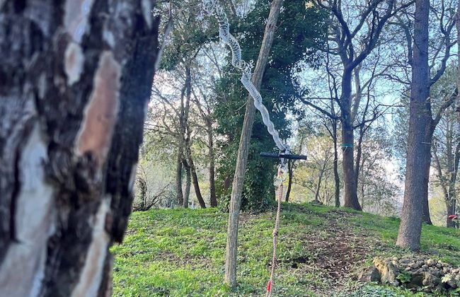 Poggio Roseto - Foto 44