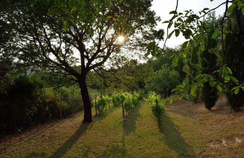 Le Mascie Country House - Foto 76