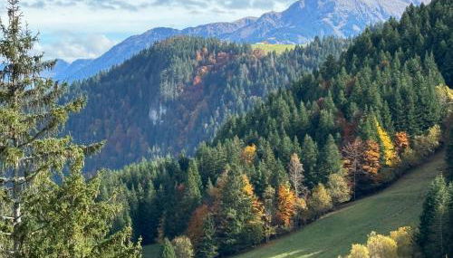 2-bed appt 20 mins from Morzine Portes du Soleil French Alps - Foto 4