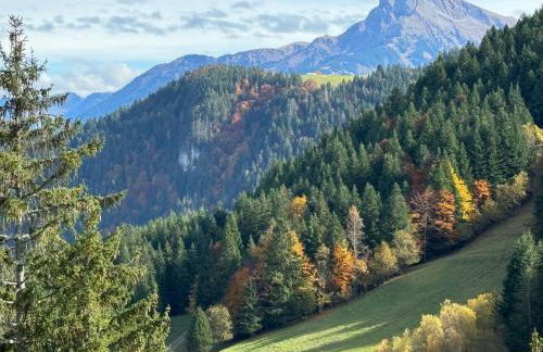 2-bed appt 20 mins from Morzine Portes du Soleil French Alps - Foto 4