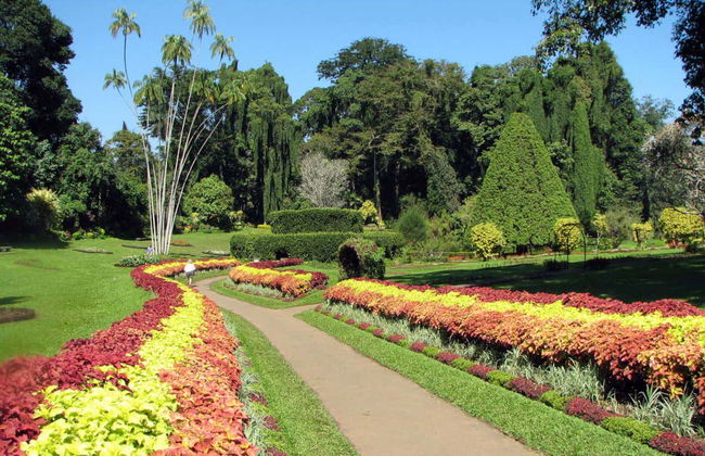 Visite privée de Kandy - Photo 1