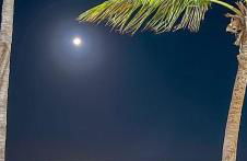 Smart Residence Praia - Photo 39