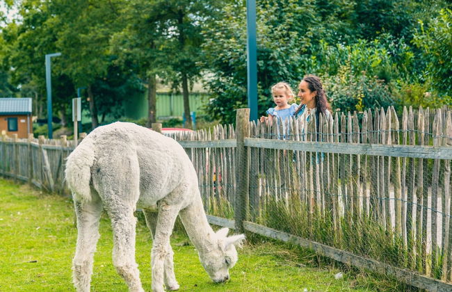 Modern Eco-villa Near the Veluwemeer - Foto 4