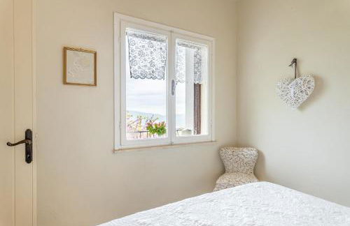 Sassi Scritti - Acero Montano - Foto 13