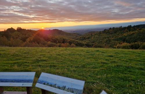 Modernes Studio im Geo-Naturpark Bergstrasse-Odenwald - Foto 10