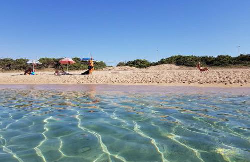 Speroni d'oro - Foto 28