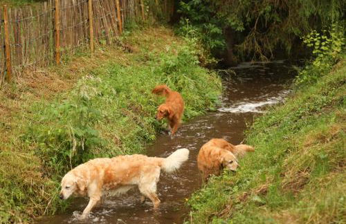 Ferienwohnungen und Gästezimmer Friedrichs - Photo 11