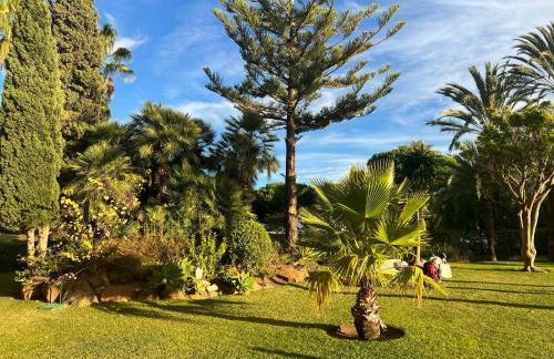 Moderno estudio y piscina a 50 metros de la playa - Photo 20