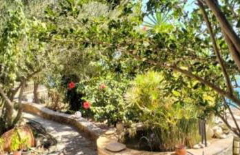 Πέτρινο - Foto 12