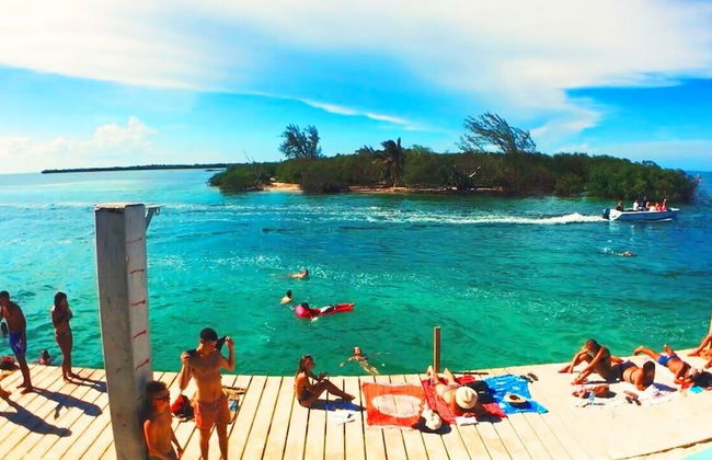 The Lily Pad II - Foto 16