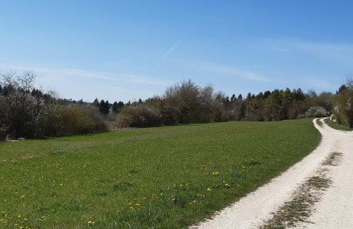 Städtle-Blick - Foto 12