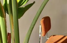 Villa au coucher de soleil inoubliable sur les collines - Photo 19