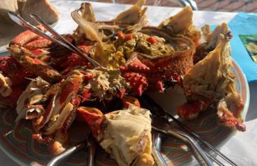 Noelmar II Combarro - Foto 19