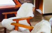 Chalé Bosque das Pedras - Foto 7