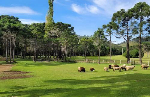 Cabana Pequeno Bosque som dás Águas - Foto 37